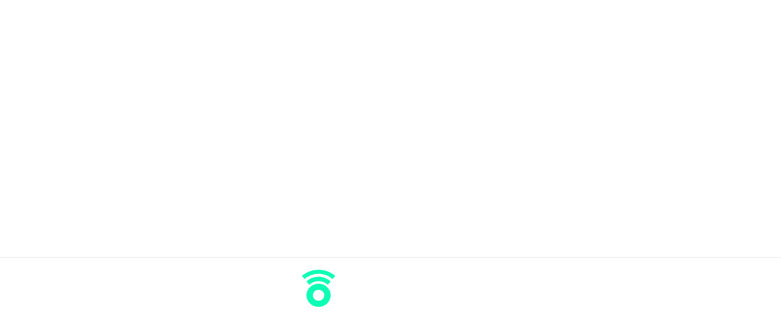 Footer Logo
